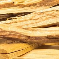 Palo Santo