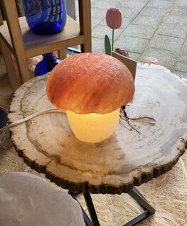 Himalaya zoutlamp paddenstoel
