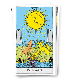 Rider Waite Tarot Pocket NL
