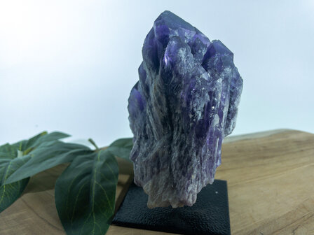 Amethist Jacar&eacute; op standaard 3
