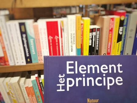 Het Element Principe - E-book