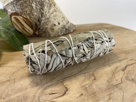 Witte salie met eucalyptus smudge stick