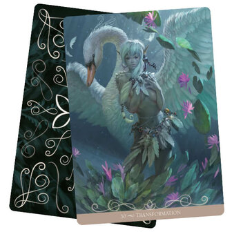 Night Fairies Transformation