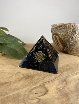 Orgoniet piramide met Shungiet