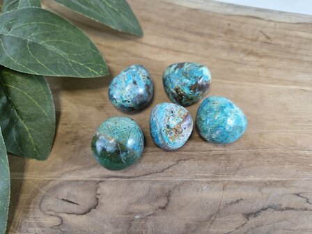 Chrysocolla trommelsteen XS
