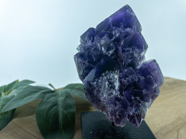 Amethist Jacaré op standaard 3