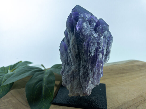 Amethist Jacaré op standaard 3