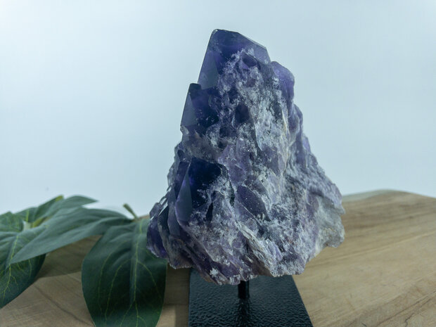 Amethist Jacaré op standaard 3