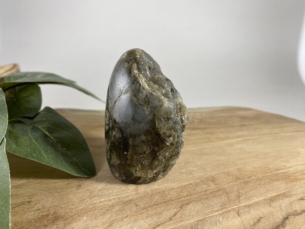 Labradoriet sculptuur halfruw