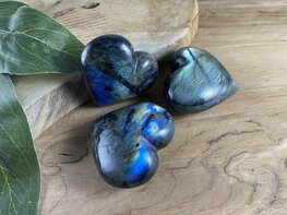 Labradoriet hart Labradoriet hart