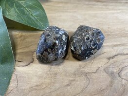 Turitella Agaat - trommelsteen M