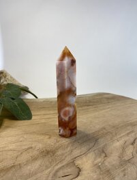 Carneool met Bloem Agaat punt 1 Carneool met Bloem Agaat punt 1