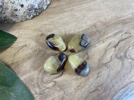 Septarie hanger doorboord Septarie hanger doorboord