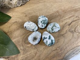 Boomagaat hanger doorboord Boomagaat hanger doorboord