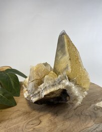 Gele Calciet cluster Gele Calciet cluster