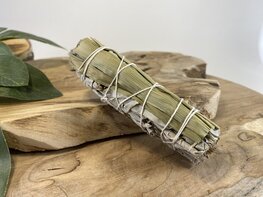 Witte salie  met citroengras smudge stick
