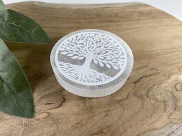 Seleniet plaat rond boom