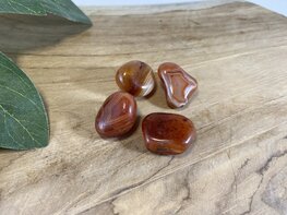 Carneool trommelsteen XS Carneool trommelsteen XS