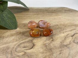 Carneool trommelsteen XXS Carneool trommelsteen XXS